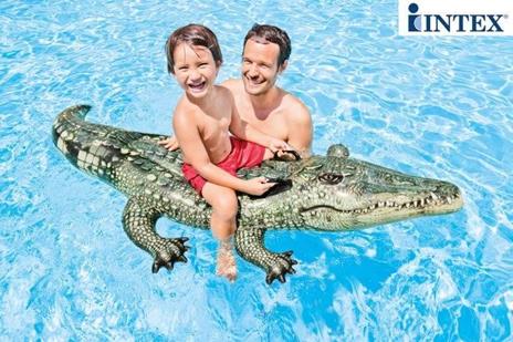 Cavalcabile Alligatore 170X86