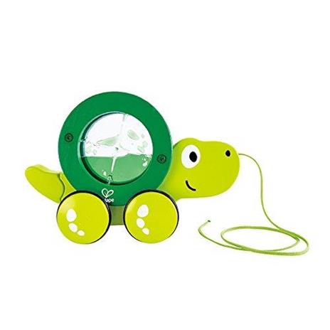 Tartaruga traninabile - 4