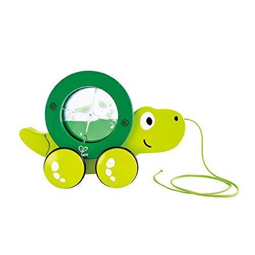 Tartaruga traninabile - 4