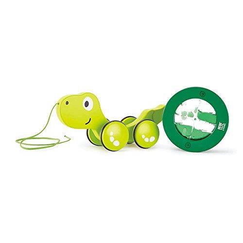 Tartaruga traninabile - 5