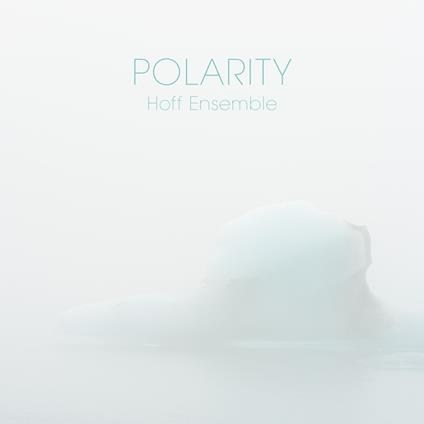 Hoff Ensemble - Polarity - An Acoustic Jazz Project - Vinile LP