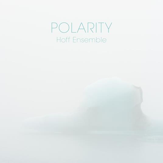 Hoff Ensemble - Polarity - An Acoustic Jazz Project - Vinile LP