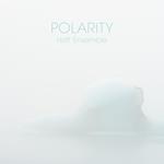 Hoff Ensemble - Polarity - An Acoustic Jazz Project