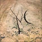 Nettlecarrier - CD Audio di Nettlecarrier