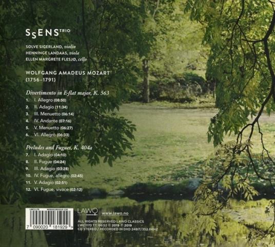 Divertimento K563 - CD Audio di Wolfgang Amadeus Mozart - 2