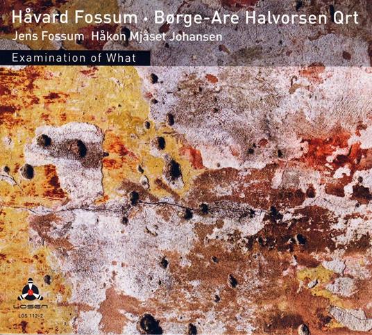 Examination of What - CD Audio di Havard Fossum