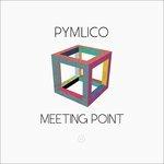 Meeting Point - Vinile LP di Pymlico