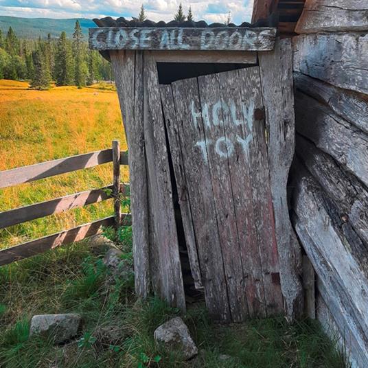 Close All Doors - CD Audio di Holy Toy