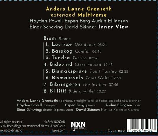 Inner View - CD Audio di Anders Lonne & Multiverse Gronseth - 2