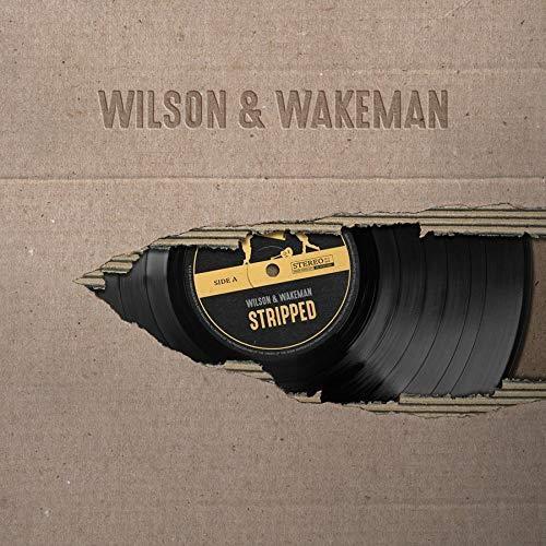 Stripped - CD Audio di Damian Wilson