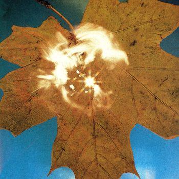 Force Of The Wind - Vinile LP di Soyuz