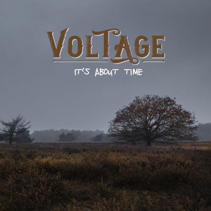 It's About Time - Vinile LP di Voltage