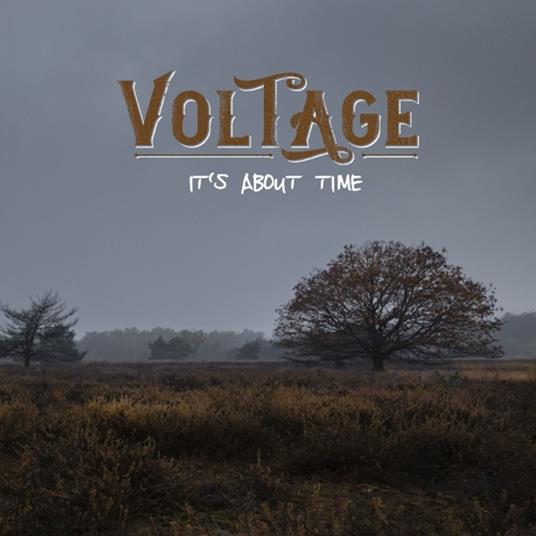 It's About Time - Vinile LP di Voltage