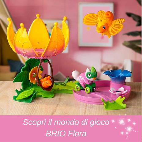 FLORA La casa in fiore Starter Set - 2