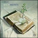 Mottetti - SuperAudio CD ibrido di Johann Sebastian Bach,Masaaki Suzuki,Bach Collegium Japan