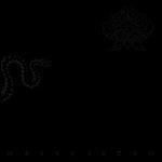 Maledictum - Vinile 10'' di Abruptum