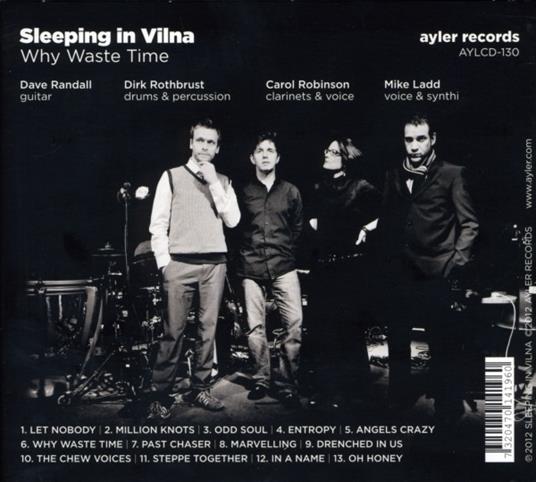 Sleeping in Vilna - Why Waste Time - CD Audio di Dave Randall - 2