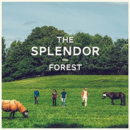 Forest - Vinile LP di Splendor