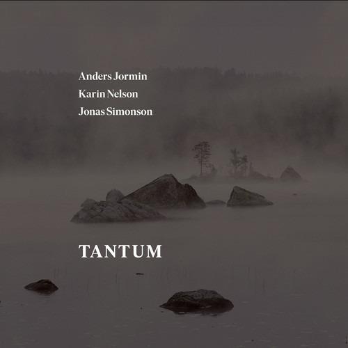 Tantum - CD Audio di Anders Jormin