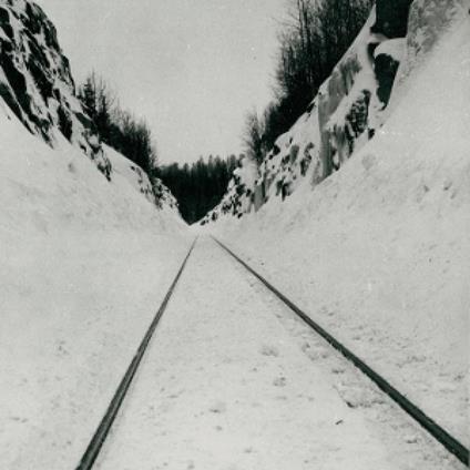 Thin Peaks - Vinile LP di Microtub