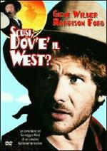 Scusi, dov'è il West? (DVD)