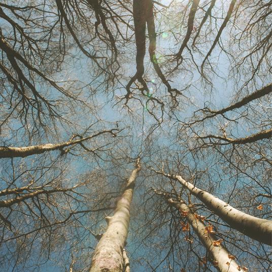 Ordine e disordine - CD Audio di Eduardo De Felice