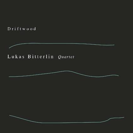 Driftwood - CD Audio di Lukas Bitterlin