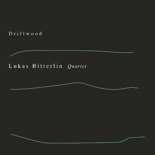 Driftwood - CD Audio di Lukas Bitterlin