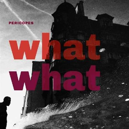 What What - CD Audio di Pericopes