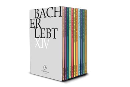 Bach Erlebt XIV (11 Dvd) - DVD di Johann Sebastian Bach