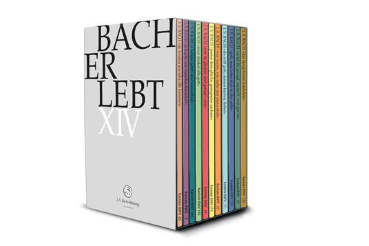 Bach Erlebt XIV (11 Dvd) - DVD di Johann Sebastian Bach