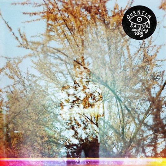 Enjoy The View - Vinile LP di Quentin Sauve