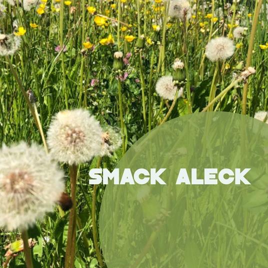 Unavoidable - CD Audio di Smack Aleck