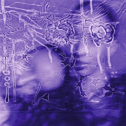 I Got A Song, It's Gonna Make Us Million - Vinile LP di Sirens of Lesbos