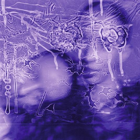 I Got A Song, It's Gonna Make Us Million - Vinile LP di Sirens of Lesbos