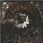 Last Words - CD Audio di OsseltioN