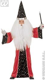 Costume Mago