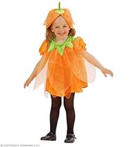 Costume Zucca