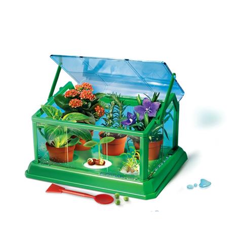 La mia prima serra - 6