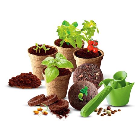 Bing Il giardino di Bing - 2