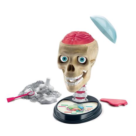 Anatomia Fuori di Testa - 2