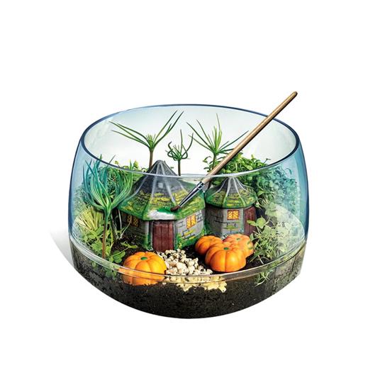 Harry Potter - Terrarium - 2