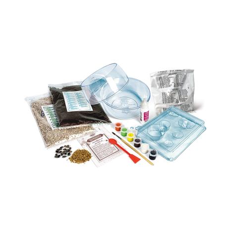 Harry Potter - Terrarium - 4