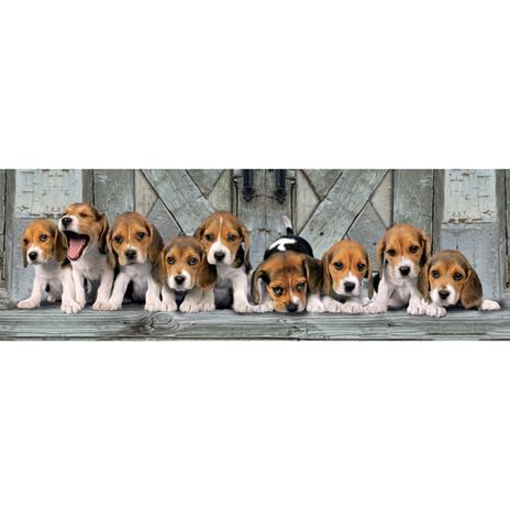 Puzzle 1000 Pz. High Quality Collection. Panorama. Beagles - 2