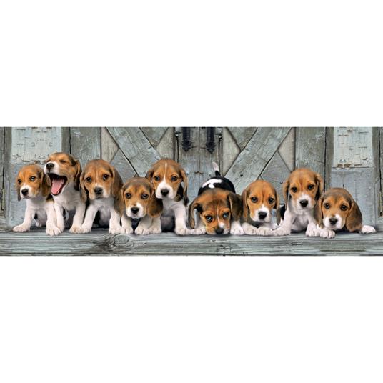 Puzzle 1000 Pz. High Quality Collection. Panorama. Beagles - 2