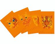 Quaderno Maxi Quaderno Monocromo Orange 38Ff - Fsc 1 R, a righe