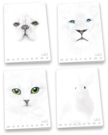 Confezione da 10 quaderni, Maxi Quaderno Monocromo White 38Ff, 1R, a righe