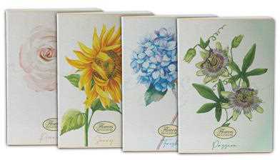 Cartoleria Confezione 5 quaderni Maxi Flower Special, quadretti grandi 5mm 42 Ff/Sh Pigna