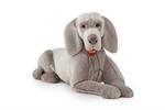 Trudi. Peluche Colore Grigio 22018