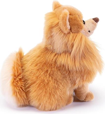 Pomerania Biscuit M (22348)